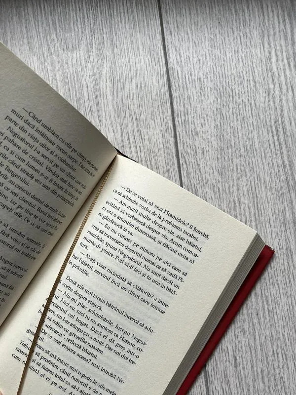 Alchimistul - Paulo Coelho - Image 4