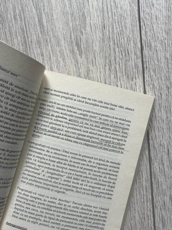 Antreprenoriat - Marius Ghenea, ISBN 9789731275161 - Image 4