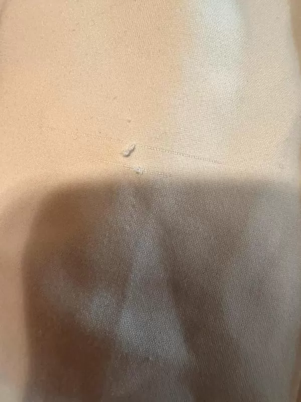 Blazer Zara EU 38 | Alb, Fără glugă, Poliester - Image 6