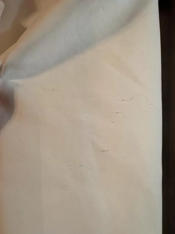 Blazer Zara EU 38 | Alb, Fără glugă, Poliester - Image 7