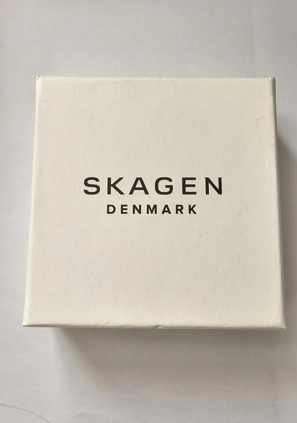 Set bijuterii Skagen Denmark | Argintiu, Argint - Image 6