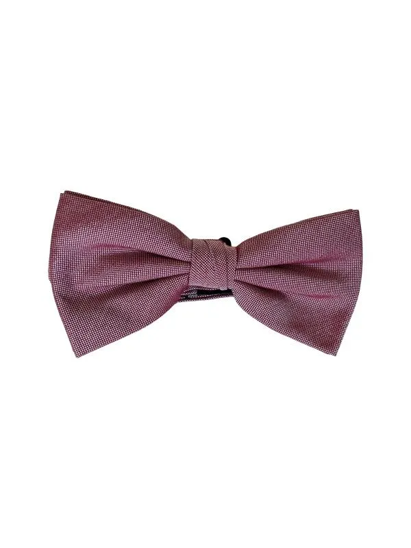 Papion Angelo Litrico C&A | Roz