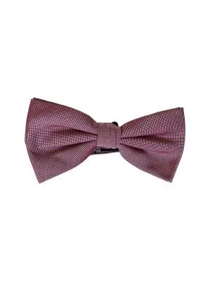 Papion Angelo Litrico C&A | Roz