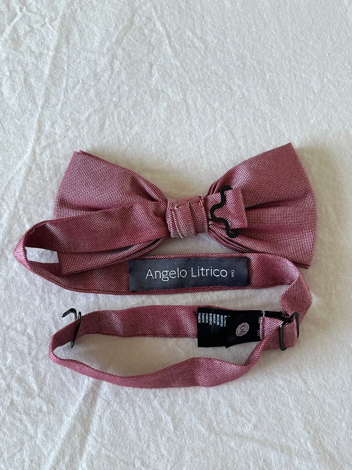 Papion Angelo Litrico C&A | Roz - Image 4