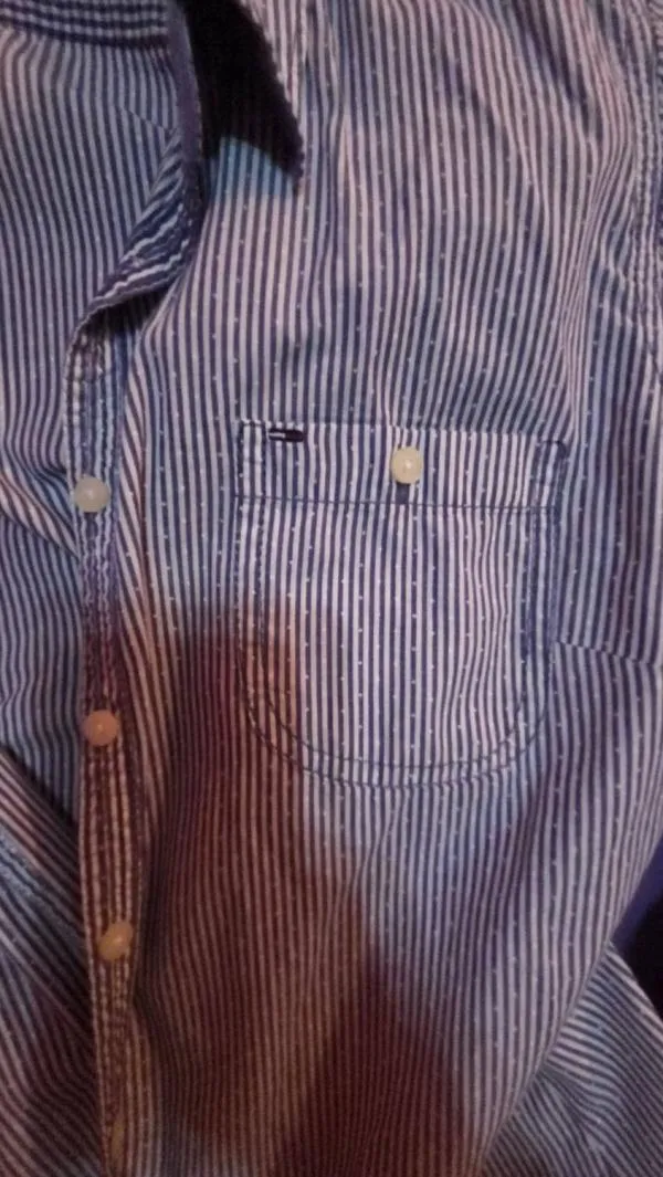 Cămașă Tommy Hilfiger L | Albastru, Normal, Mânecă lungă, Regular   Standard fit, Dungi - Image 4